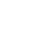 scale Icon